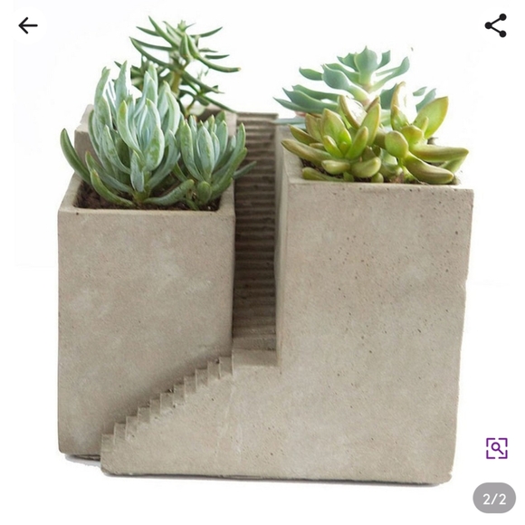 Modern Concrete Succulent Planter - Picture 2 of 3
